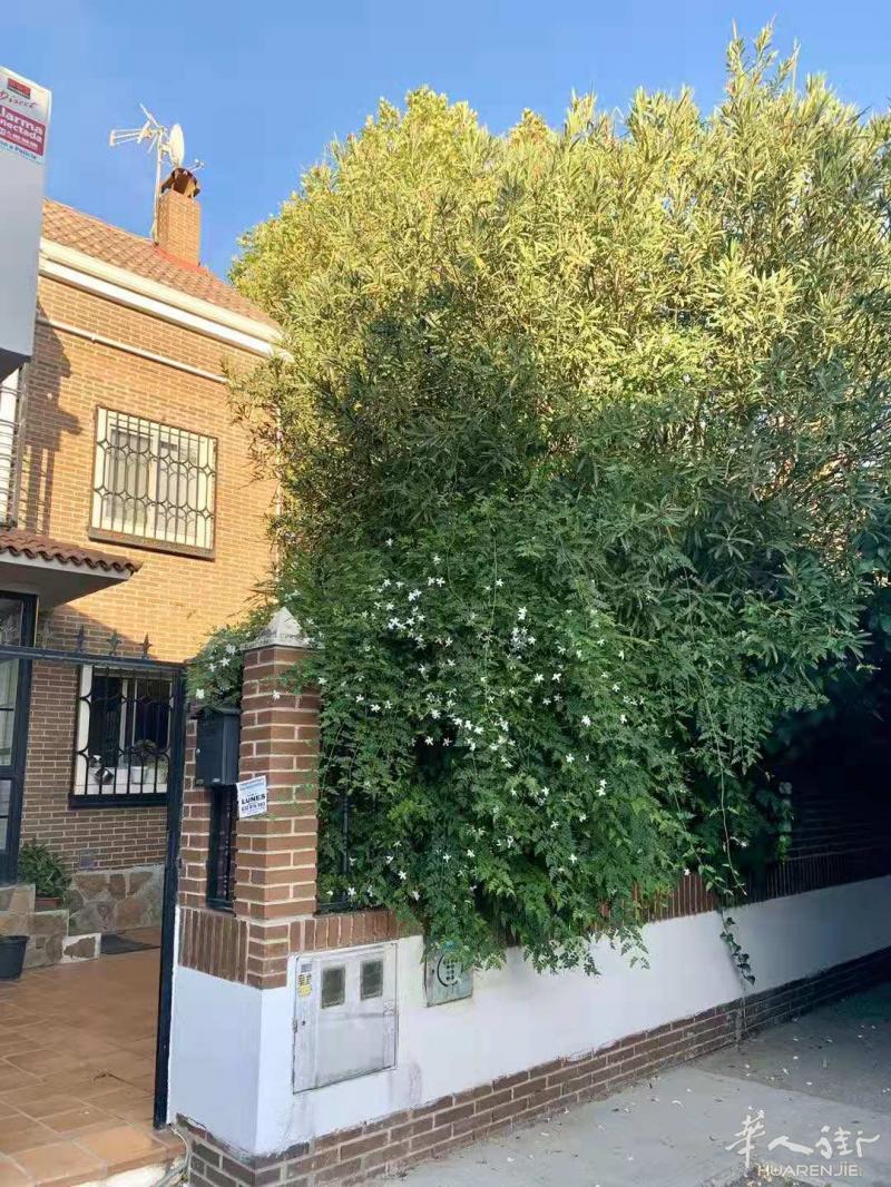 🏡Getafe 卡三 独卫女生单间 400全包