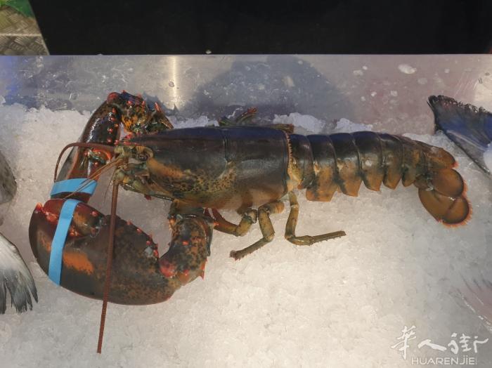 大闸蟹最小号12只以上/kg25.8!小号32.8€/kg/11只!kg!中号3