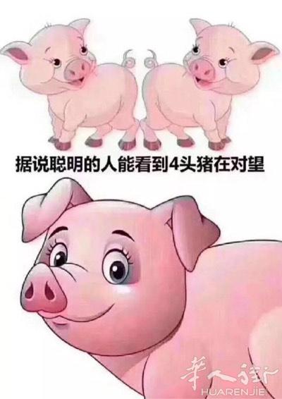 寻一位聪明伶俐的小姐姐一起组编织属于我们的未来