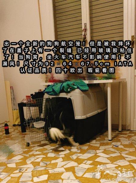 全新大号瑕疵狗狗航空笼转卖！