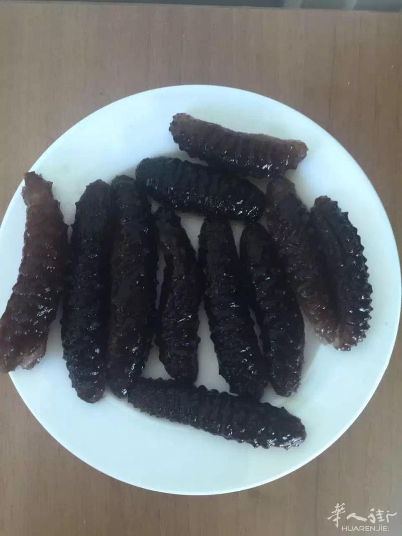 零售批发希腊深海野生海参