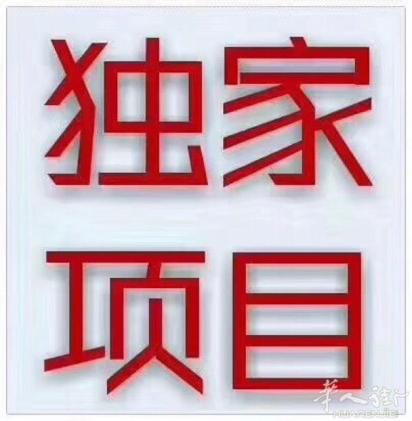 专业办理大人带孩子去欧洲 百分百 使馆渠道。百分百