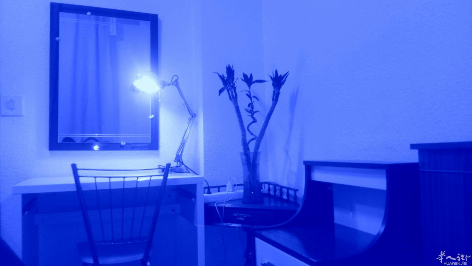 Vista Alegre5路地铁口一分钟 新装修四开门大衣柜 双人床单人280欧