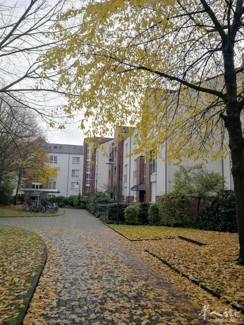 杜赛尔多夫大学附件,2 Zimmer 房屋 出租
