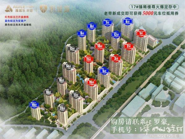 青田县雅居乐地产