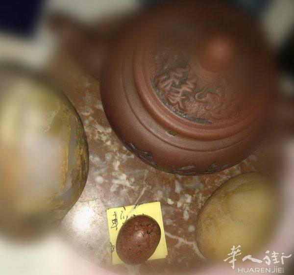 免费翻译电 075078 8910