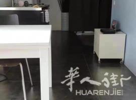 巴黎圣母院门口 ‘’马蹄斯工作室’  古典1房1厅 50平出租