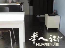 巴黎 1区chatelet 好房出售