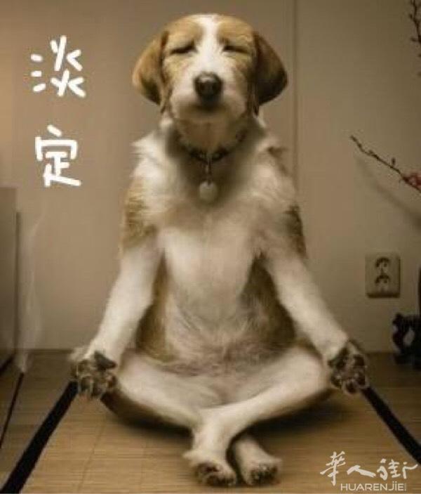 这里有老板娘想交朋友加好友，本人男个个方面顶级