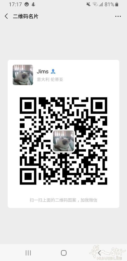 有人送猫或则送狗吗家里有一只猫一只狗了院子。