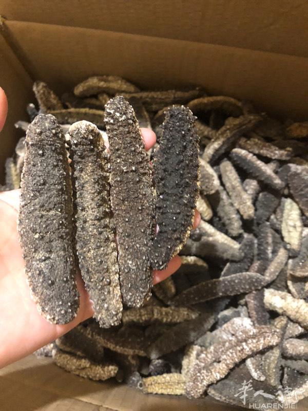 海参一手货，保质保量，质量不好包退！3315976