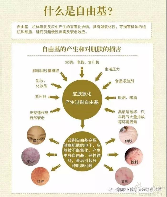 保持年轻健康的秘诀
人之所以会老化、体力衰退、皮肤失去光泽及弹性，除了年龄是无法