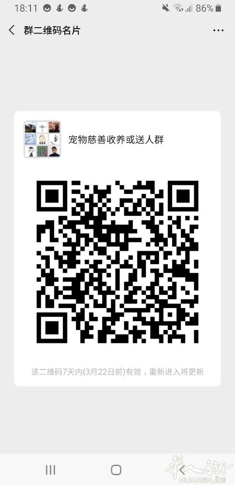 免费送的太多！爱心领养人士太少!爱心领养宠物赶紧帮帮忙吧