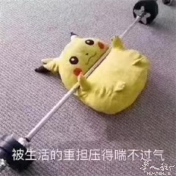 寻找江苏省徐州的老乡