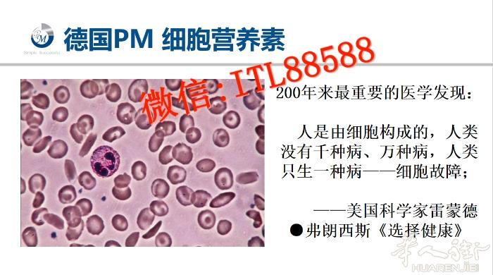 💕人只会生一种病——细胞故障，只要给我们的细胞足够的营养，所有的健康问题都能得