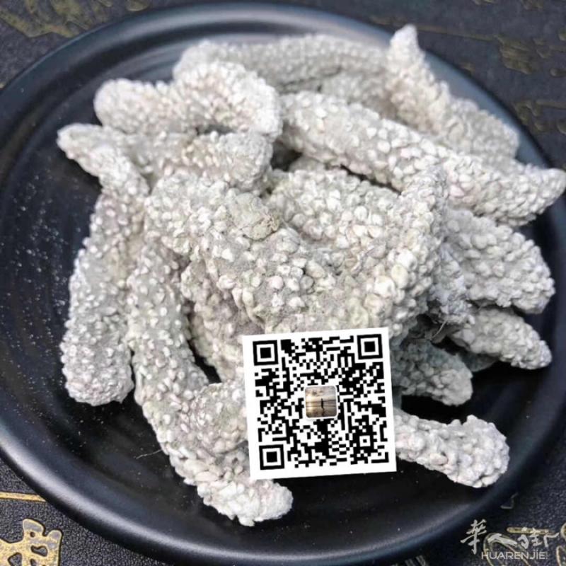 海参燕窝鱼翅鲍鱼厂家直销3778564919 普拉托现货，外