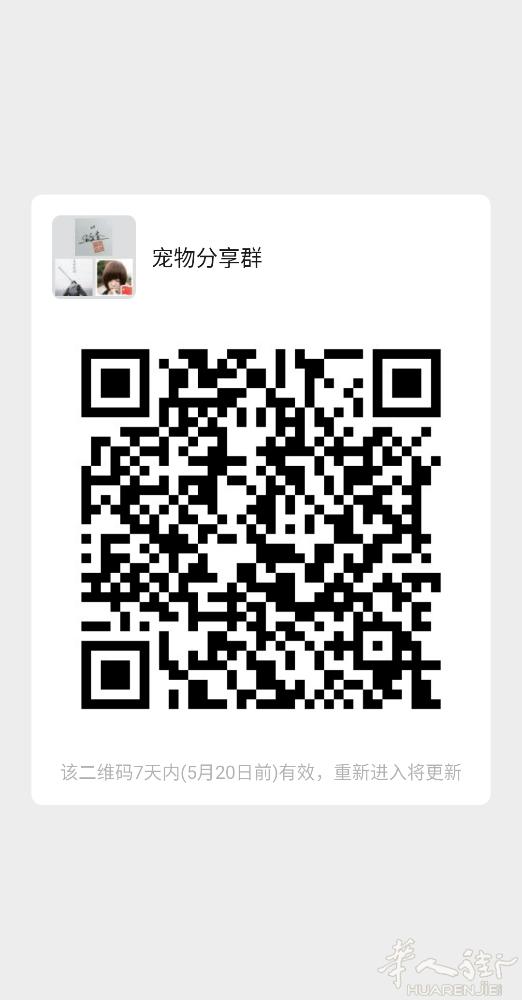为喜欢宠物的朋友提供一个平台，互相交流经验，宠物领养，