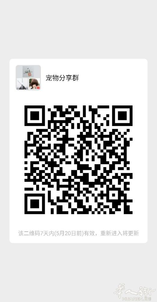 喜欢宠物的朋友进，买卖宠物，宠物免费领养，