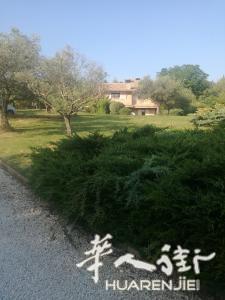 在里米尼出售别墅在农村 - Rimini