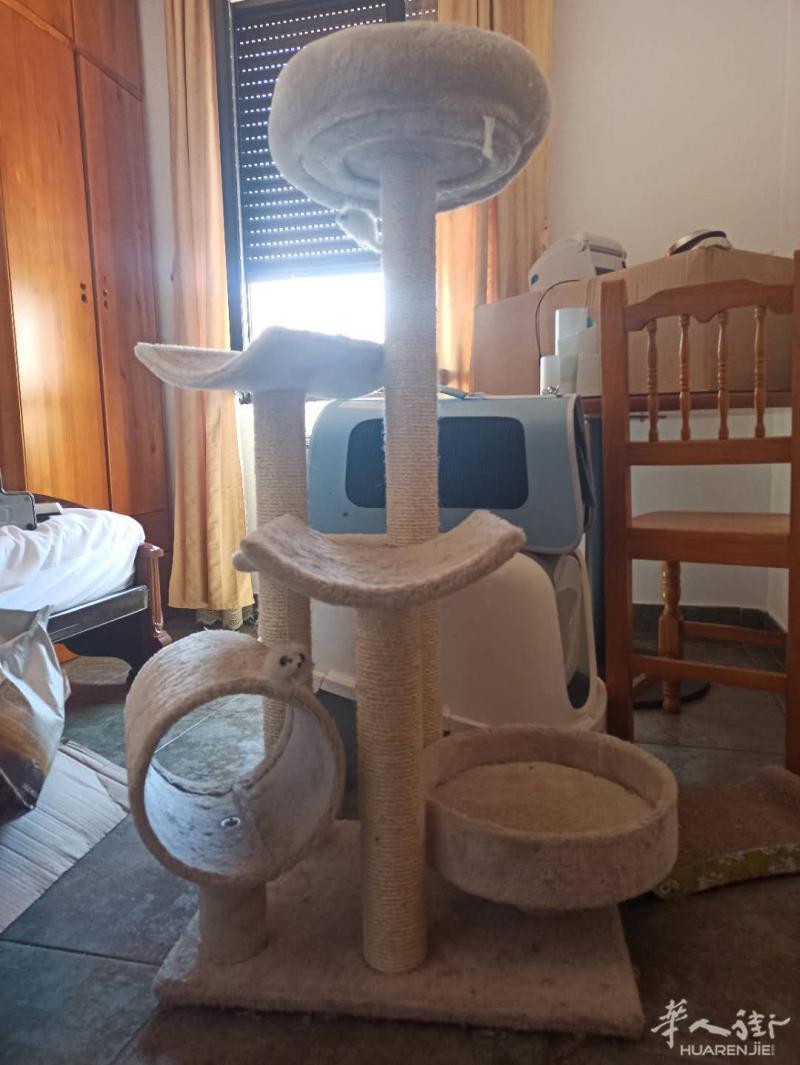 猫咪物品转让