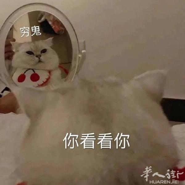 “希望夏天是像桃子汽水味的心动💗. ”