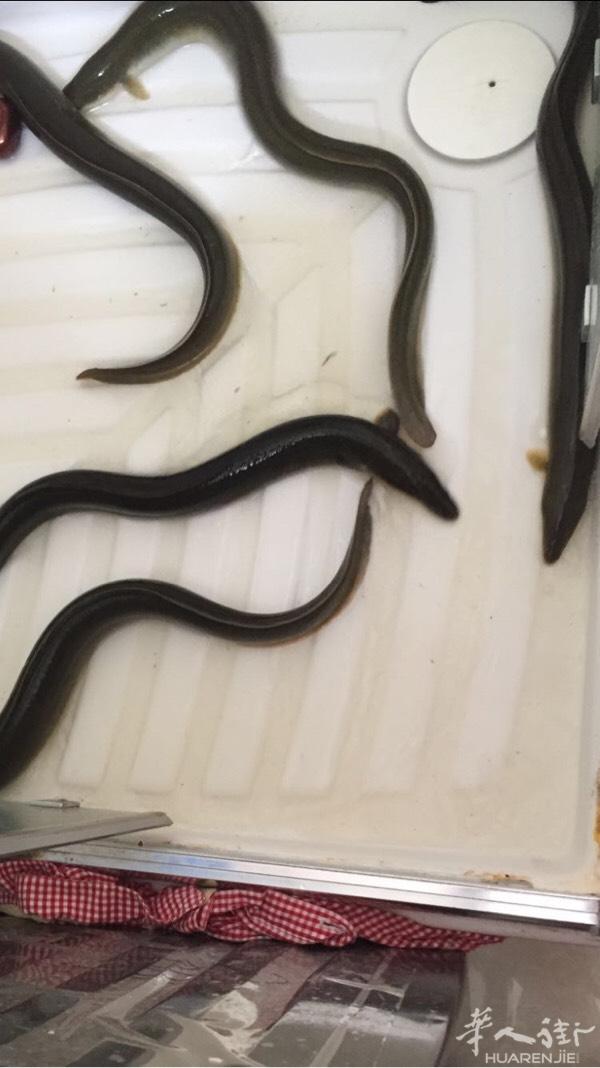 大家好出售纯野生鳗鱼10欧-25欧一条更具大小不同