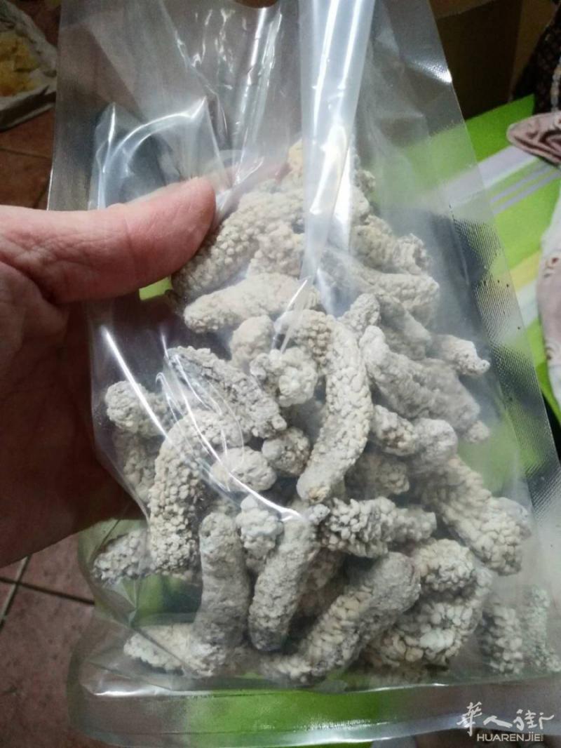白刺参厂家直销3778564919 全网最低找意大