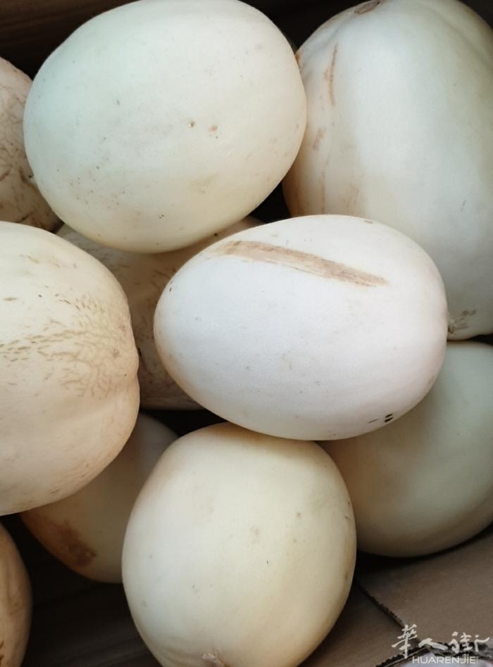 黄香瓜，白香瓜，3.3€/kg,7.5€/p(约6-8)，可参与10%优惠，详情