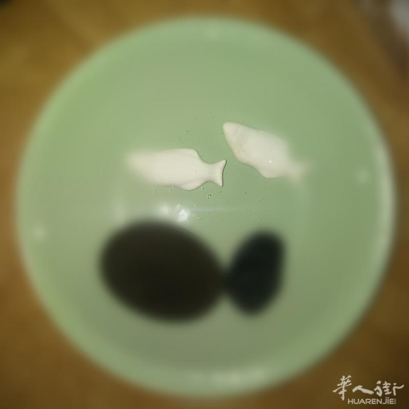 邦助你申请免费律师