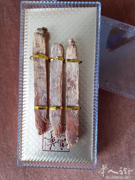 M出售‘’大萝卜‘’泡酒的，炖汤的，要的速度！！