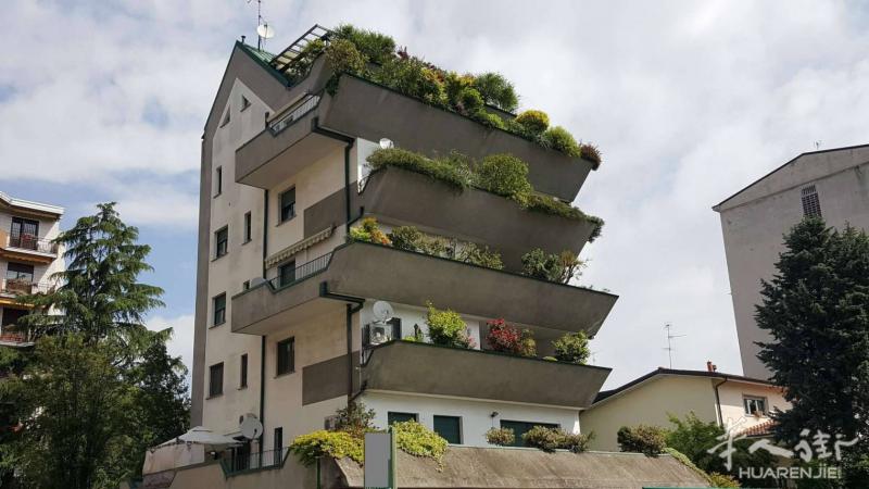 MONZA 套房出租，优质生活从好住家开始