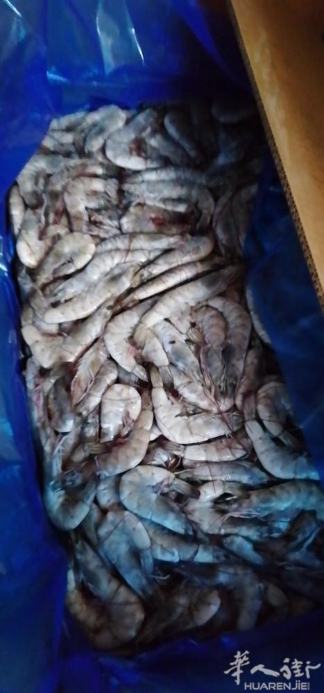 又鲜又大的南美生虾，肉感特好，绝对美味，价格美丽 ，一袋2公斤包装22欧 三袋起