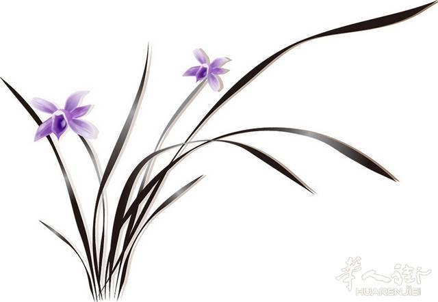 中药制剂瘦身美白紧肤产品，展现靓丽婀娜身姿，联系微信cavasmc