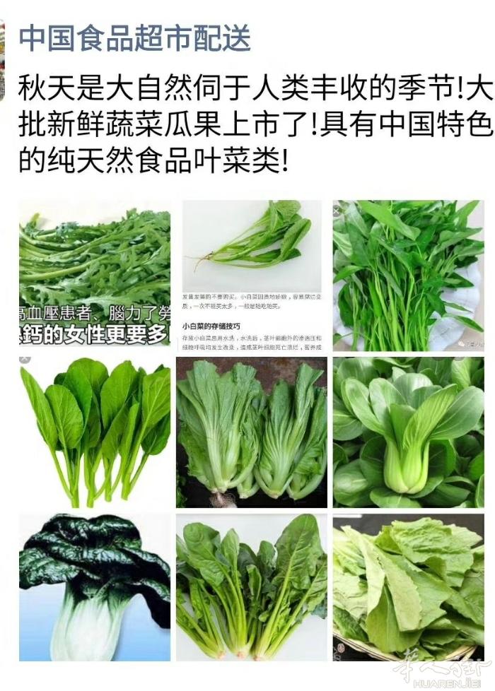 秋天，新鲜蔬菜上市了!秋天是个收货的季节!秋天的果实是大自然的奉献!大家多吃点绿