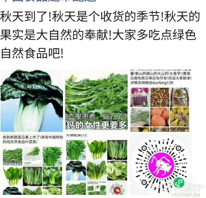 特价叶菜，黄金白(小白菜),上海青,冬瓜,大白菜,菜心油菜统统2.3€/kg,芥