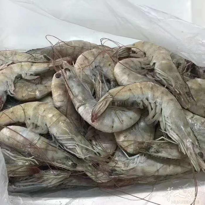 A刚到南美对虾，肉感特好，又大又鲜，11欧/1kg,一袋2kg包装，有需要联系我