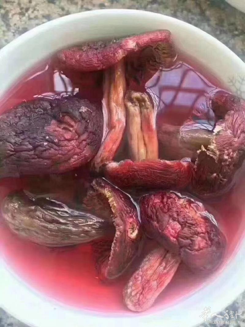 野生红菇每一朵红菇都吸收着大自然的精华🍄红菇补血