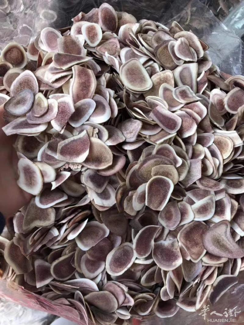特价鹿茸片[玫瑰][玫瑰][凋谢]煲汤泡酒都好，超