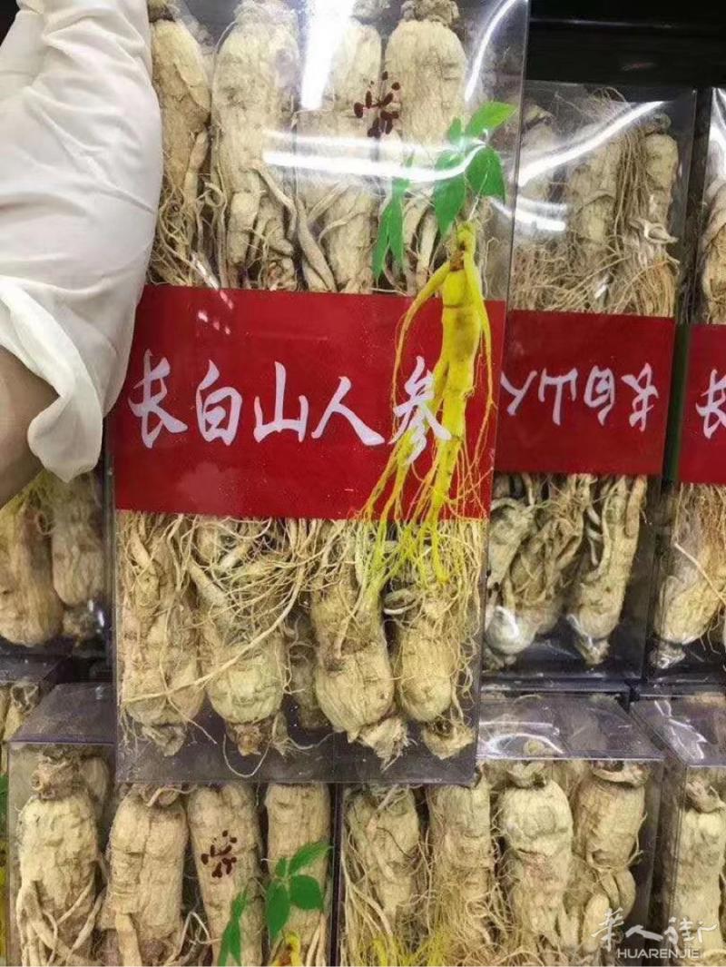 长白山人参，[爱心]补元气，增强体质！味道醇甘，煲