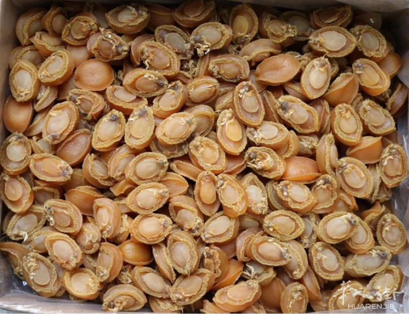 大连鲍鱼，一斤30头，欢迎预定，10天到货