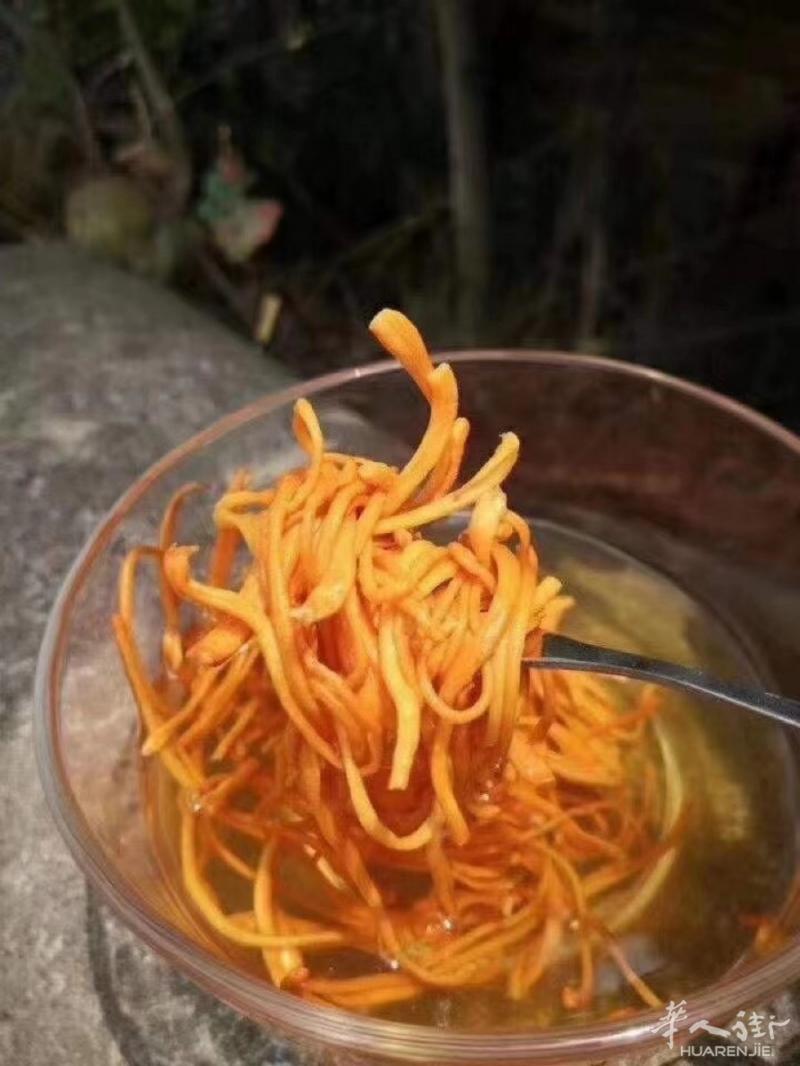 💕排草虫草花💕
富含抗癌物质，对各类肿瘤癌细胞