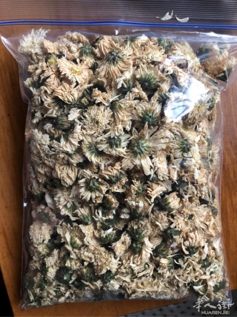 100k菊花5.5euro