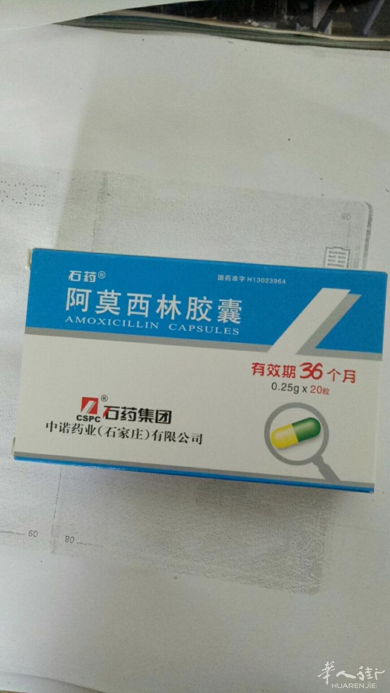 阿莫西林，10盒起送货