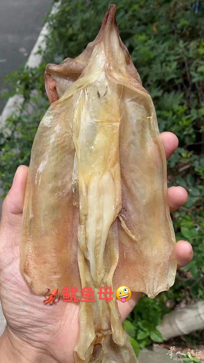 想吃的发短信息