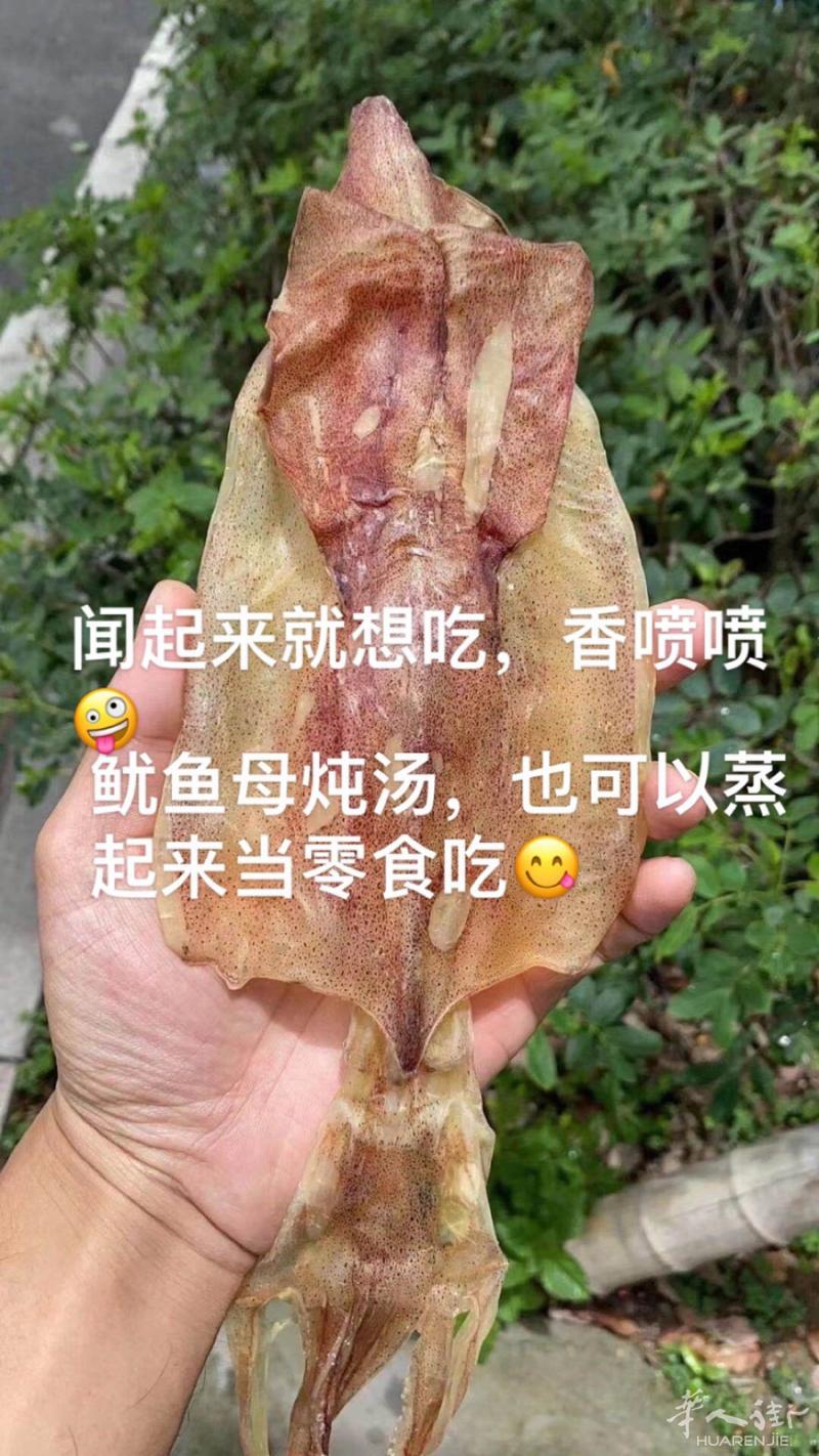 温州老乡要吃的发短信息0782556004.不管你