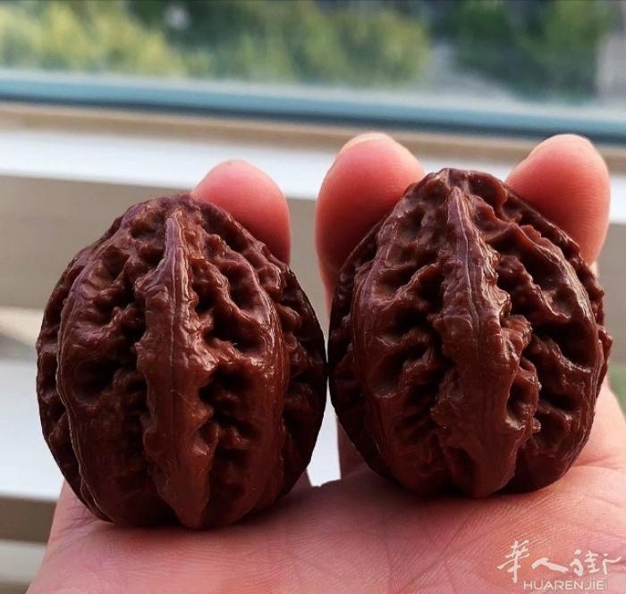 寻找在英国的文玩爱好者