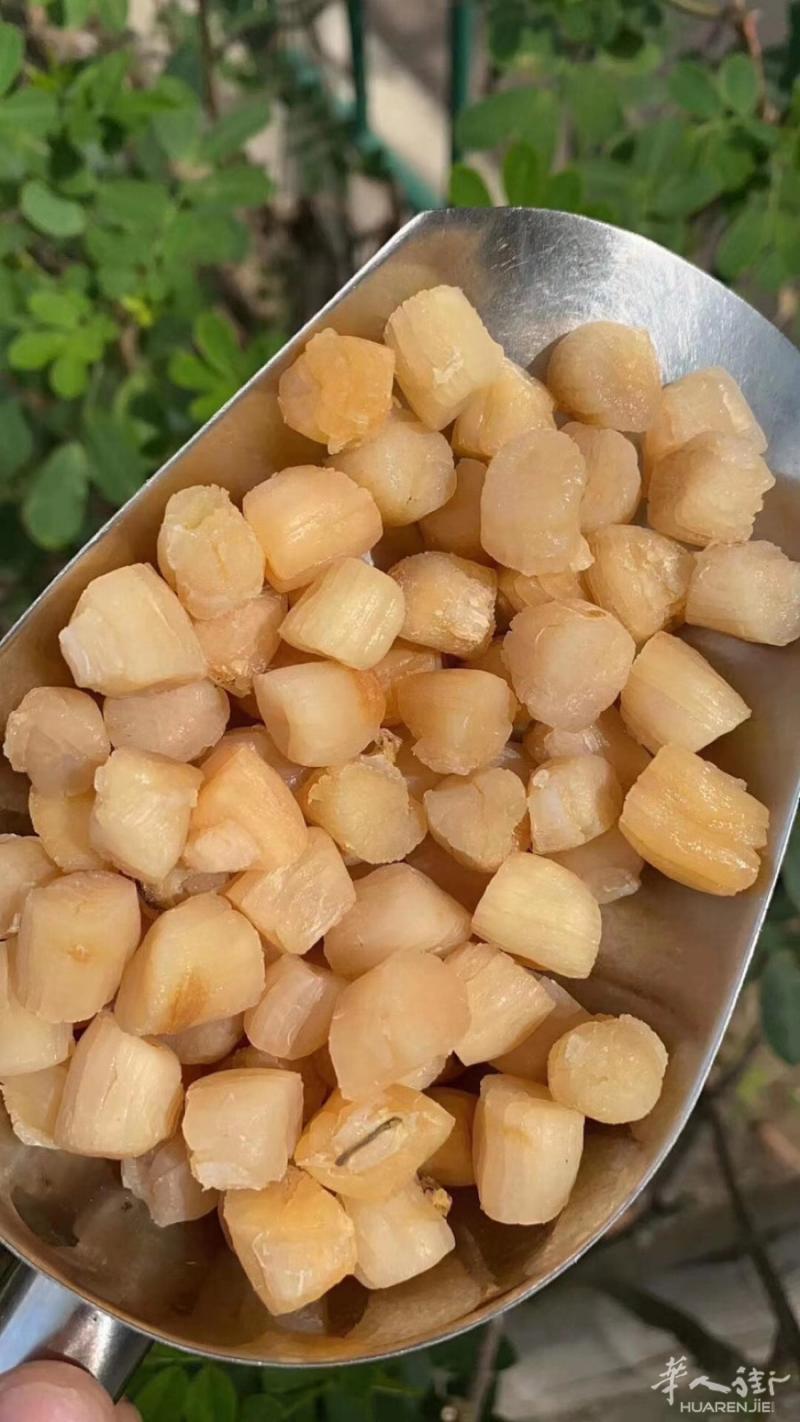 特价特价。 货不多要的抓紧！