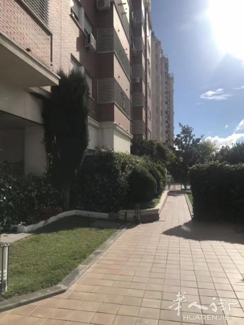 （疫情降价100）市面少见的复式楼招整租