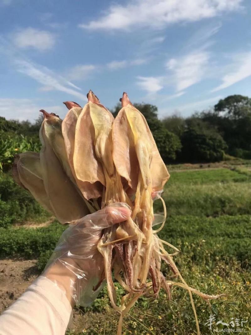 墨鱼干好价。赶紧下单