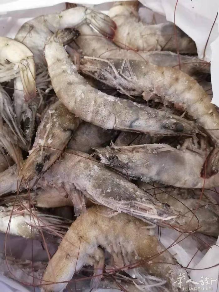 刚到一批大又鲜的南美生虾，肉感特好，绝对美味，价格美丽 ，一袋2公斤包装，